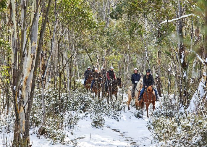Group on a unique horse riding experience  with Thredbo Valley Horse Riding, Thredbo Valley