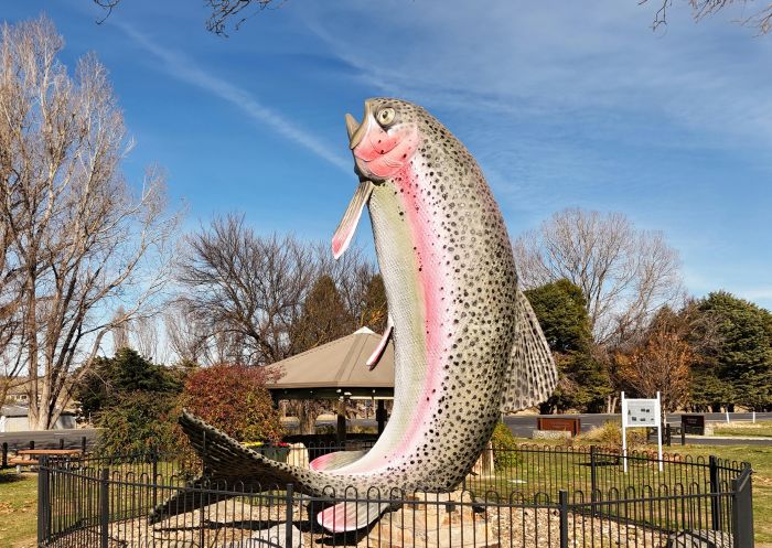 The 10-metre high Big Trout fibreglass structure in Adaminaby...Artist: Andy Lomnici, 1973