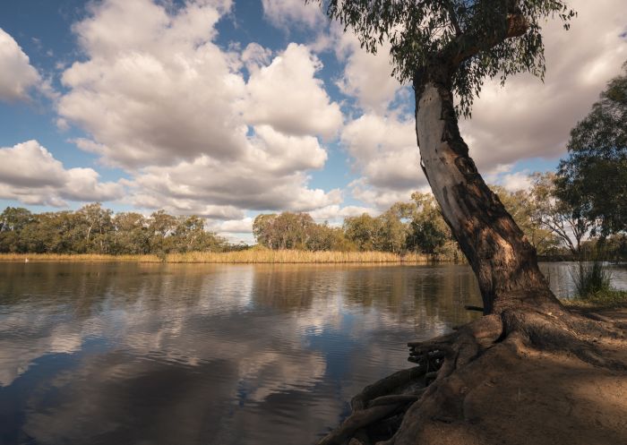 Bogan River, Nyngan