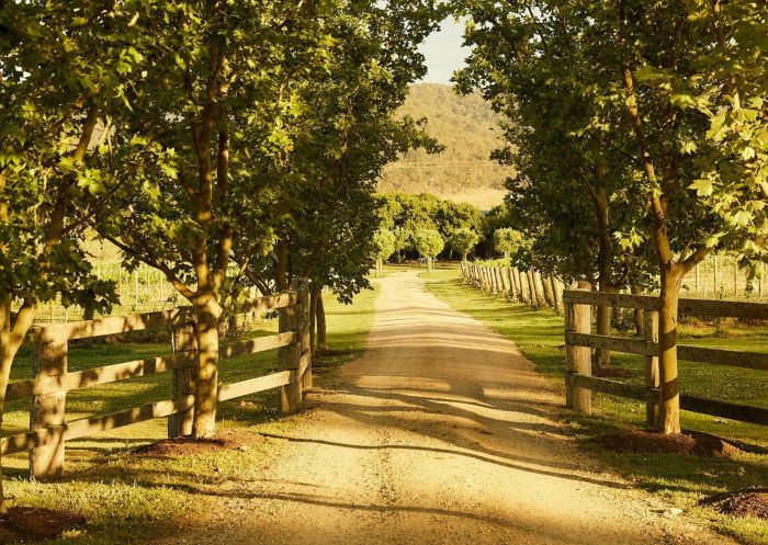 Krinklewood Biodynamic Vineyard - Credit: Krinklewood Estate Pty Ltd