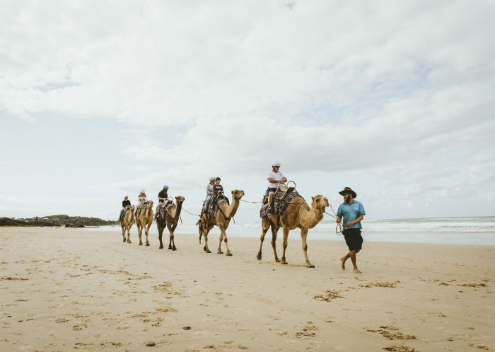 Family enjoying a guided experience with Port Macquarie Camel Safaris