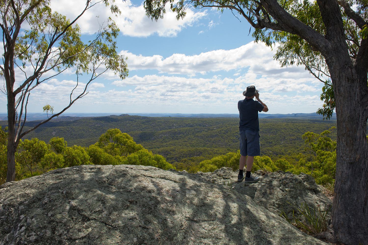 Barrington Tops Nsw Things To Do Accommodation Camping