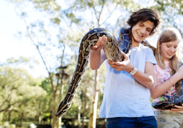 Australian Reptile Park - Central Coast