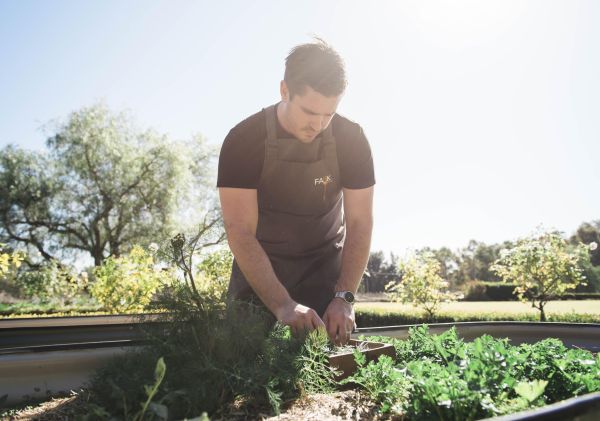 Chef picking fresh produce at Fawks Foods, Hunter Valley