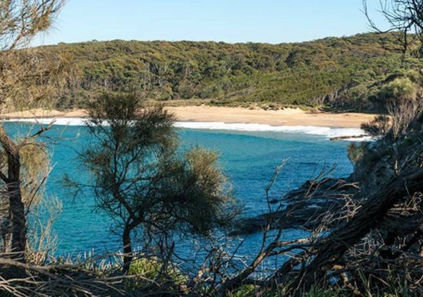 Myrtle Beach walking track in Benandarah, Batemans Bay & Eurobodalla