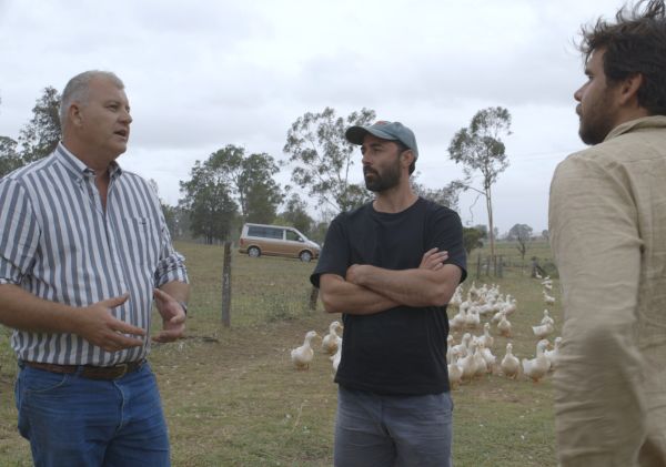 Three Blue Ducks - Woodland Valley Farm