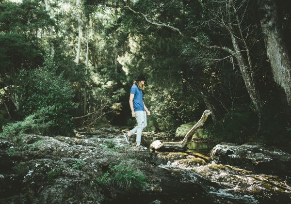 Man enjoying Minyon Falls walk,  Nightcap National Park, Minyon Falls, Whian Whian