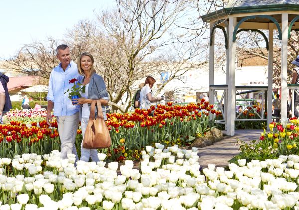 Couple exploring the Tulip Time Festival