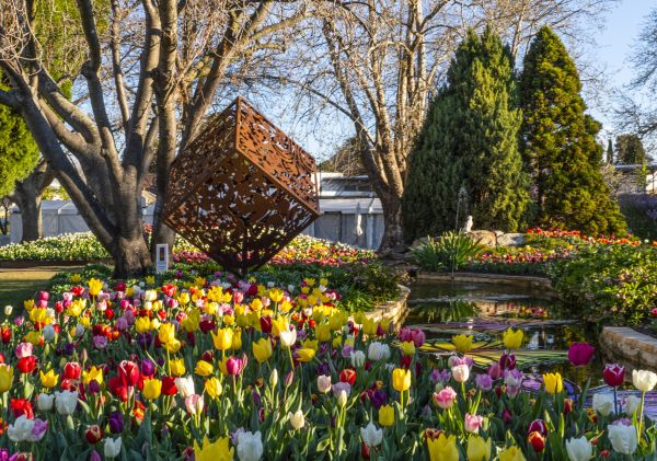 Tulip Time Festival, Bowral