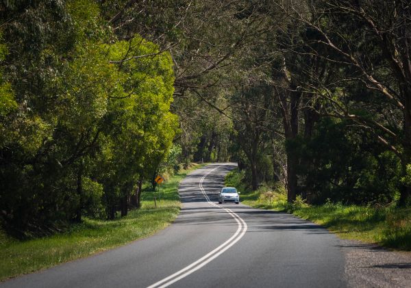 Car driving through Kangaloon in the Southern Highlands