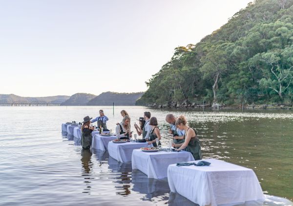 Sydney Oyster Farm Tours, Mooney Mooney