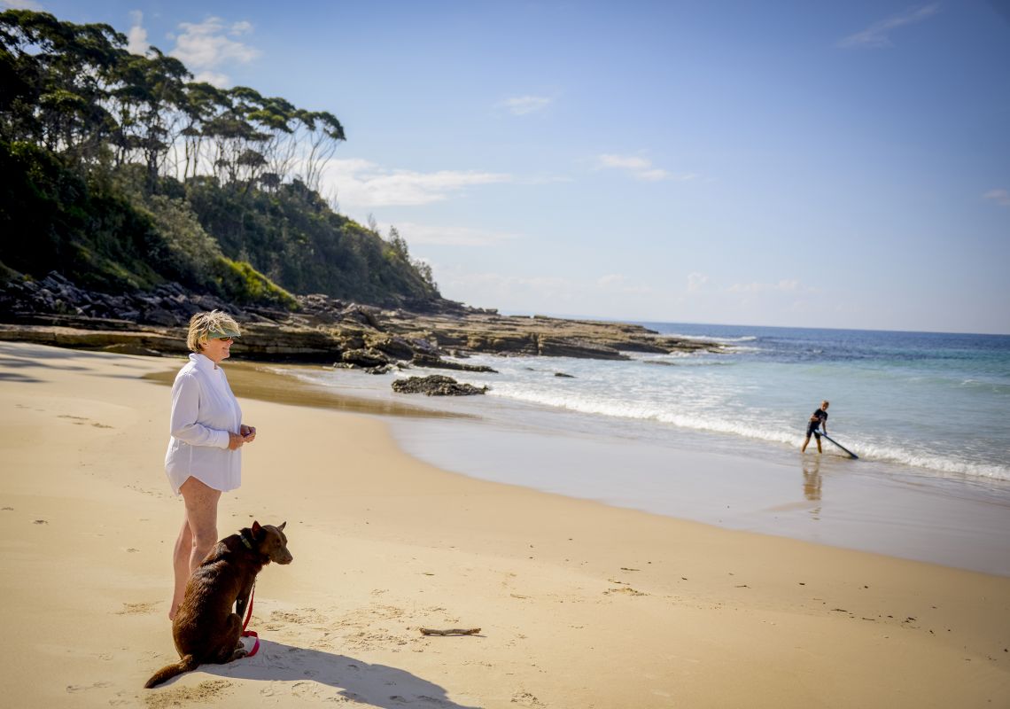 South coast hot sale holidays with dogs