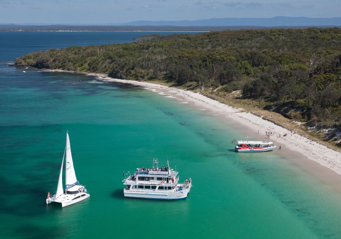 Fleet of Dolphin Watch Cruises boats in Jervis Bay, on the NSW South Coast