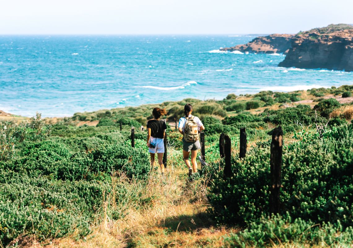 Coastal Walking Track in Wallarah National Park, Lake Macquarie 