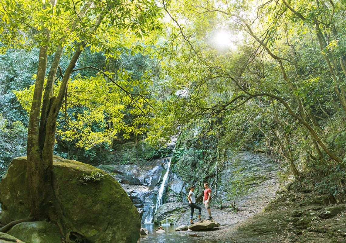 Shellharbour Nature Walks | Official NSW Tourism Website