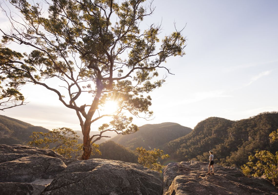 Top Hikes & Walks NSW | Official NSW Tourism Website