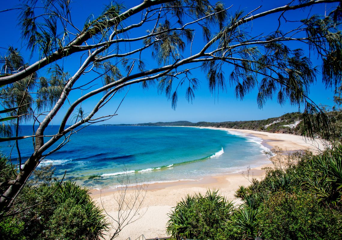 Wooli NSW - Plan A Holiday - Accommodation, Things To Do, Attractions