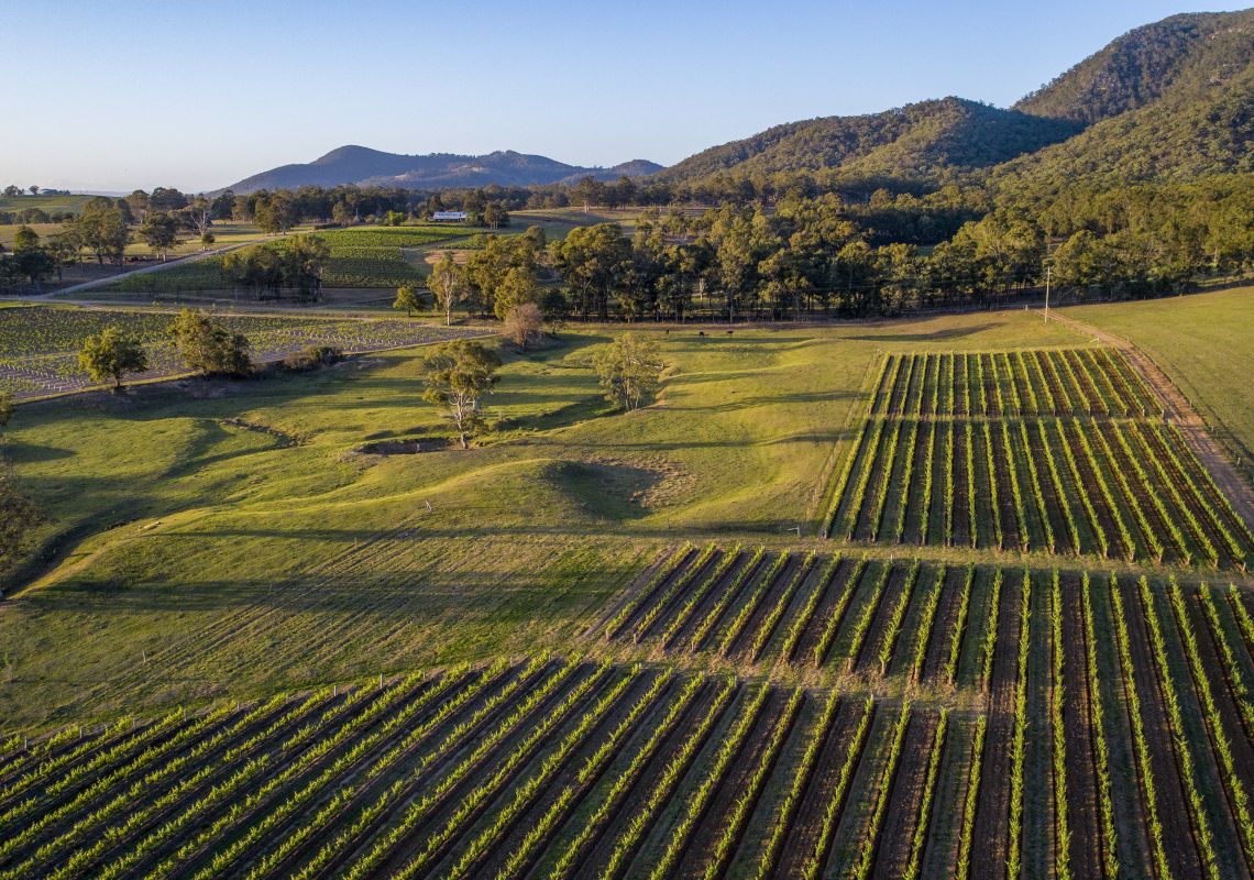 Food and Wine Trails NSW | Official New South Wales Tourism Website