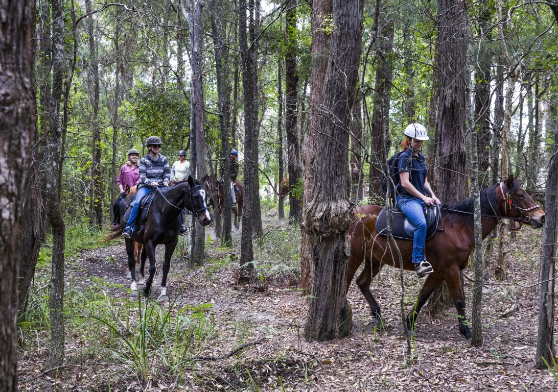 Horse Riding In NSW - Holidays, Tours & Experiences