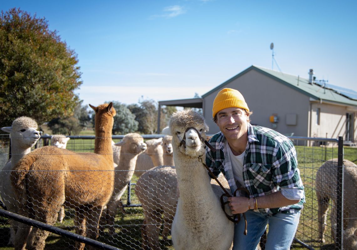 Blackwattle Alpaca Farm