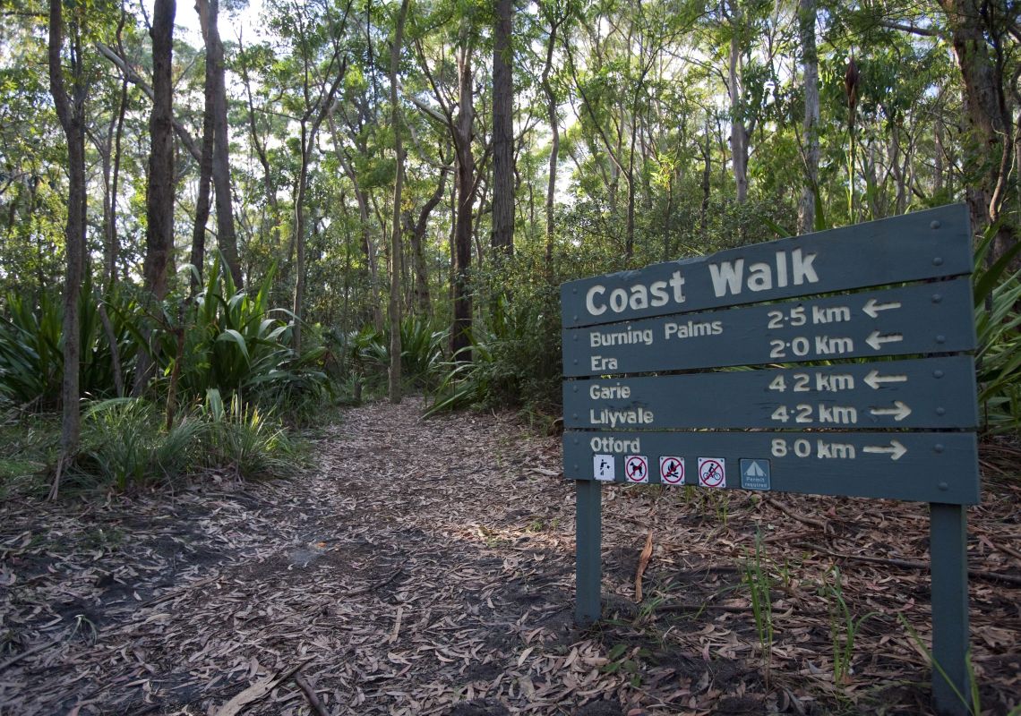 The Best Coastal Walks & Hikes In NSW | VisitNSW.com