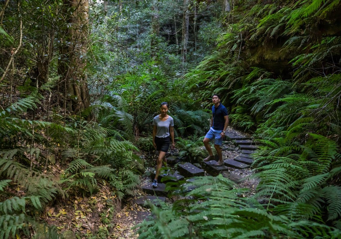 Couple enjoying a scenic walk along the Grand Canyon Walking Track, Blackheath in the Blue Mountains