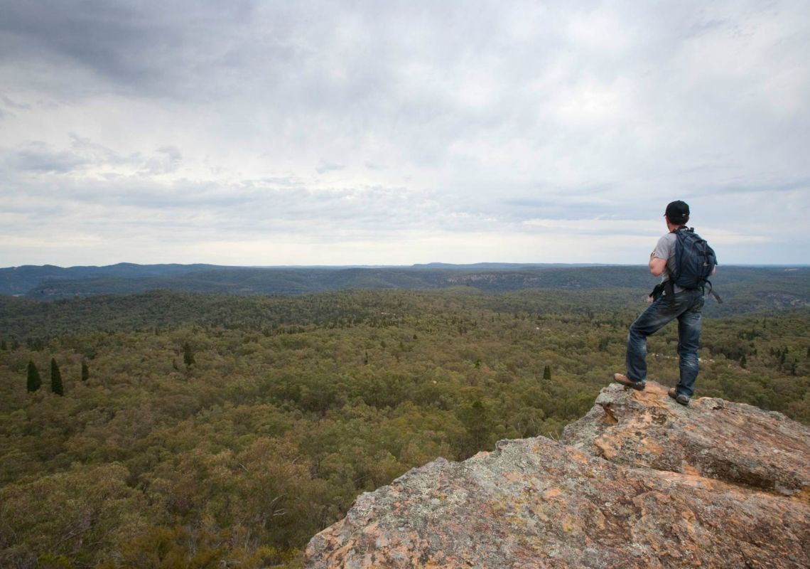 Lees Pinch lookout walking track, Goulburn River National Park