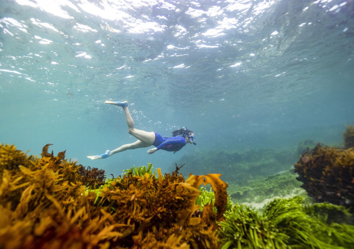 Woman snorkelling in Spoon Bay, Wamberal on the Central Coast