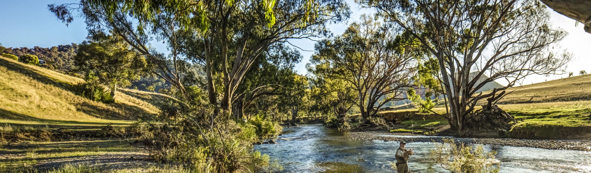 Tumut Rodeo | NSW Holidays & Accommodation, Things to Do, Attractions ...