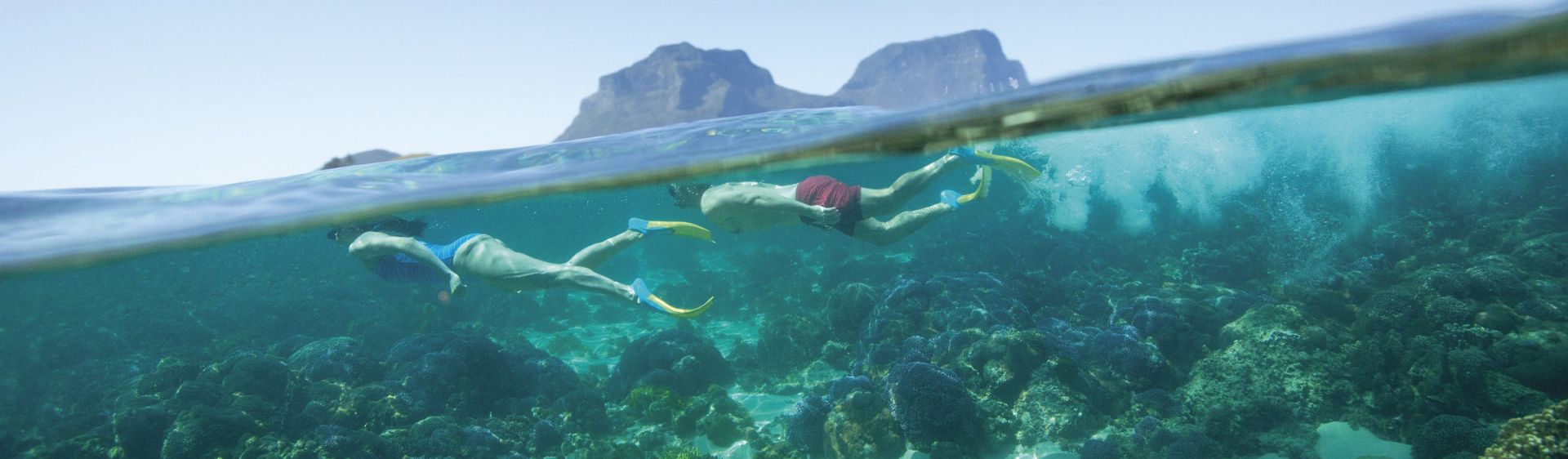 Diving, Snorkeling & Swimming in NSW - Best Places to Visit