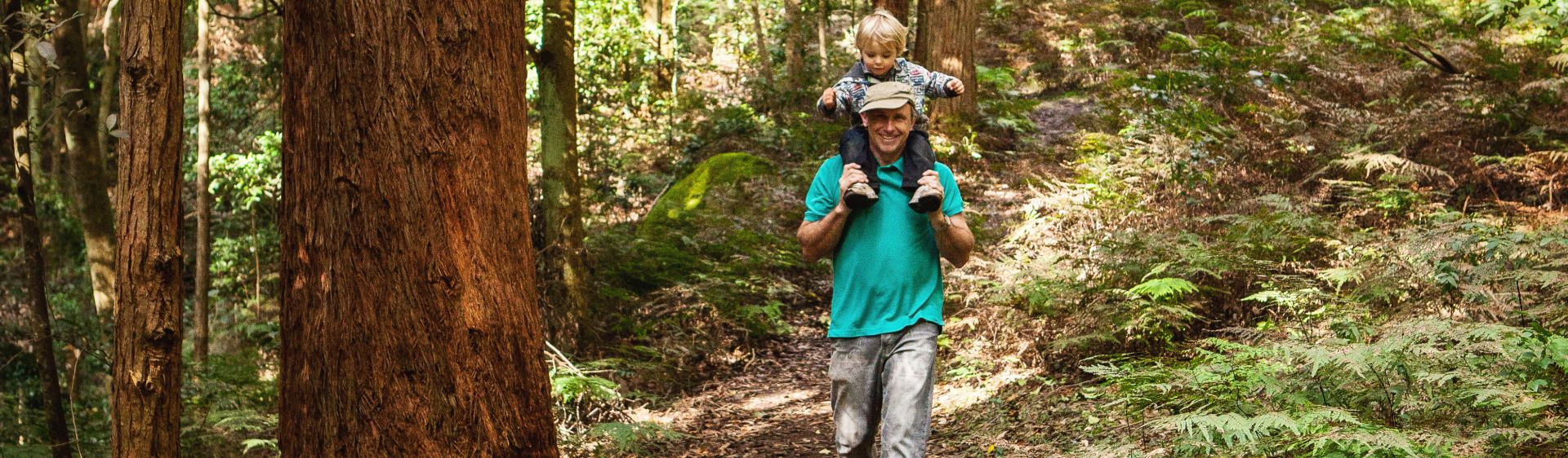 Shellharbour Nature Walks | Official NSW Tourism Website