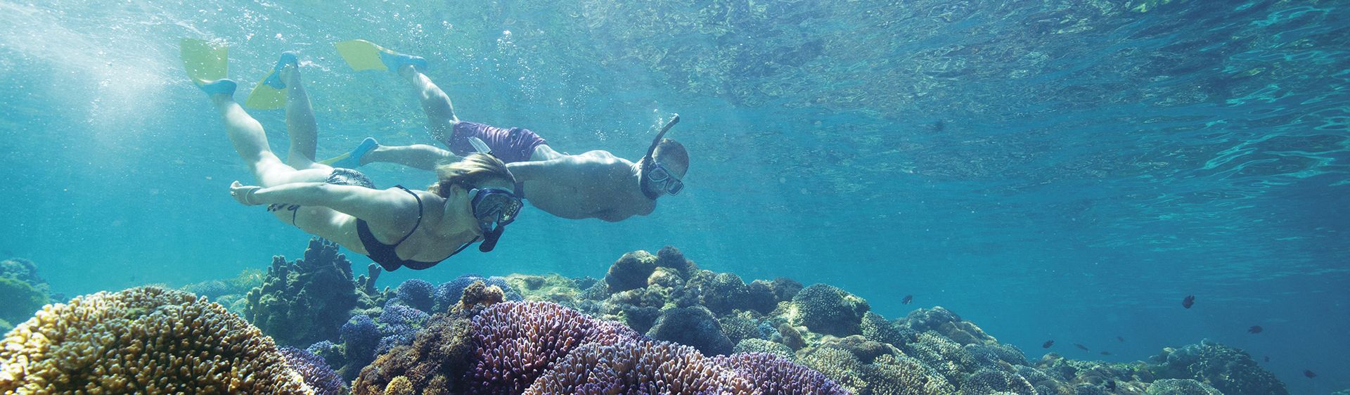 Snorkelling, Diving and Water Sports on Lord Howe Island