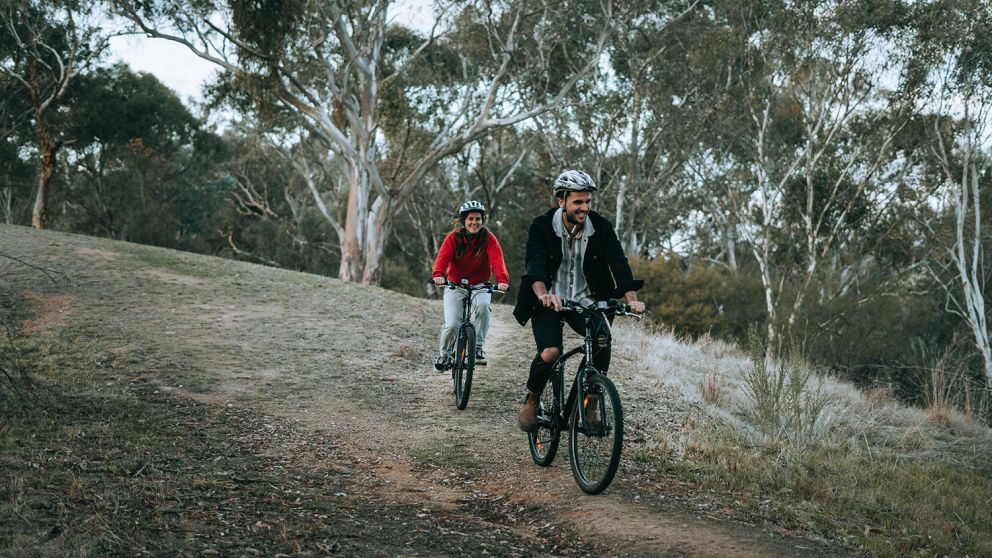 mountain bike trails blue mountains