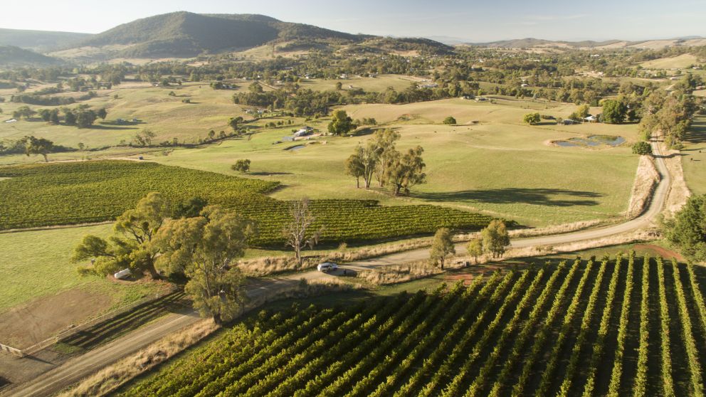 Tumbarumba NSW - Plan A Holiday - Accommodation, Attractions & Wines