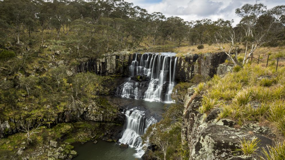 The scenic Ebor Falls in Guy Fawkes River National Park in Ebor, Armidale Area, Country NSW