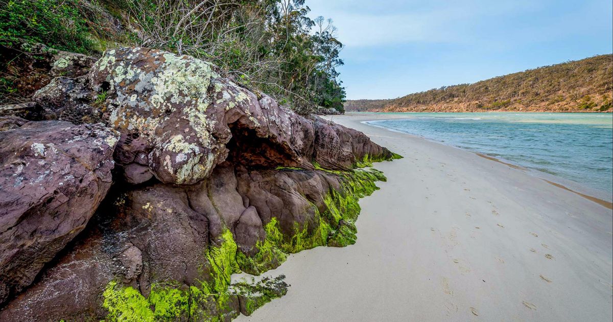 Pambula Nsw Plan A Holiday Accommodation Beaches More