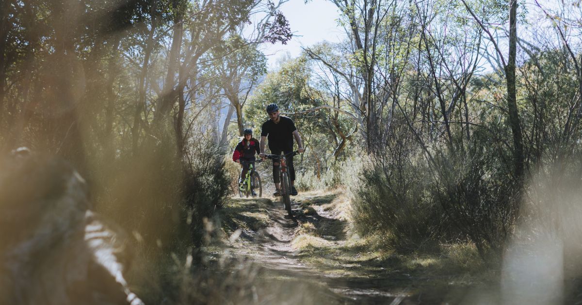 mountain bike tracks