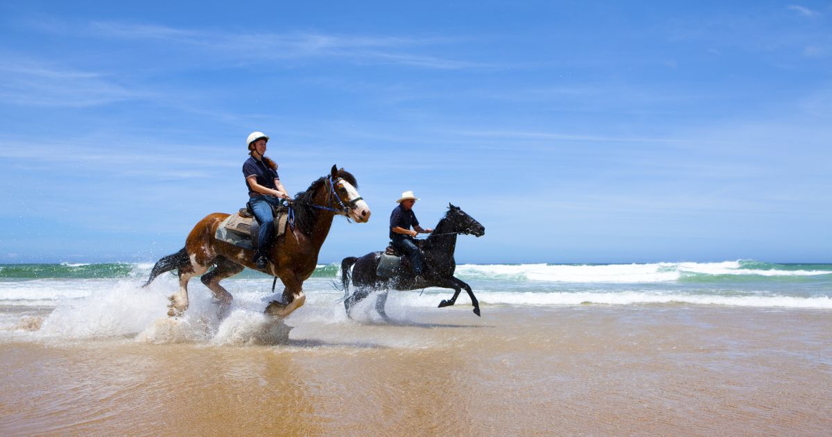 Horse riding on the on sale beach near me