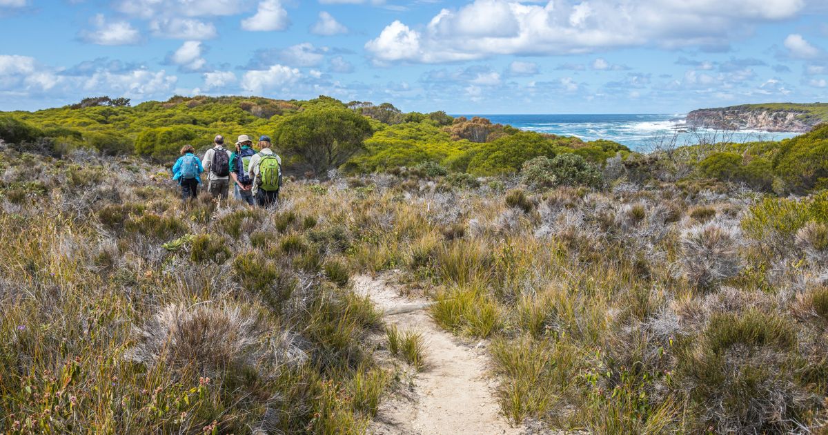 nsw doe excursions