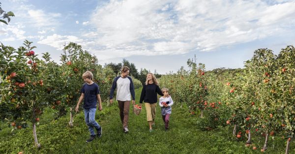 10 farm stays perfect for a family getaway in NSW | Visit NSW