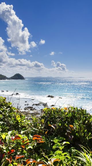 Shelly Beach - Port Macquarie