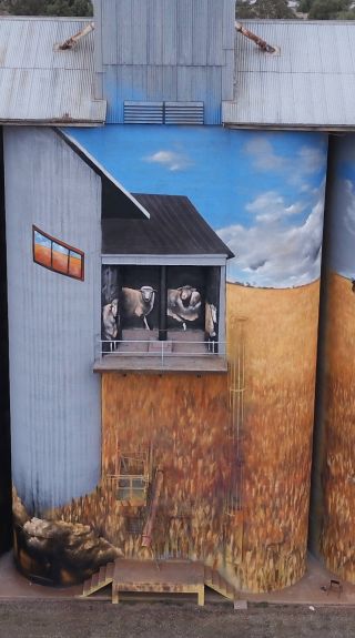Weethalle Silos Mural in West Wyalong, The Riverina
