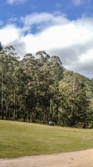 Newnes Campground, free camp site near the Wolgan River