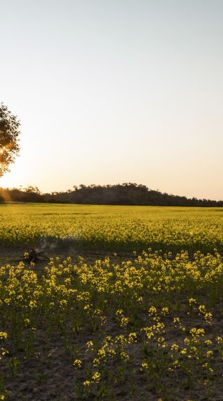 Fairview Off Grid Camping in Temora - Riverina