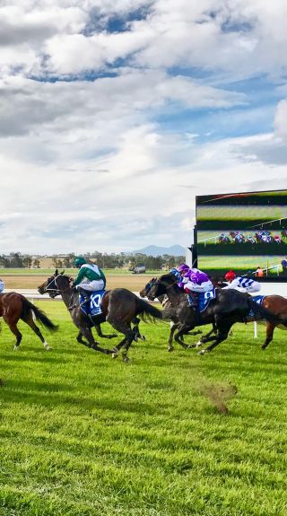 Scone Horse Festival in Scone, Upper Hunter - Credit: Shay Hancock - Upper Hunter Shire Council