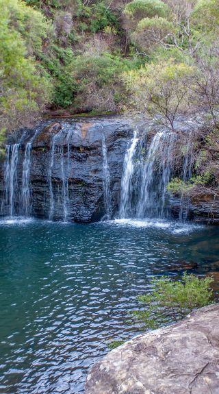 Nellies Glen waterfall at Budderoo National Park in Kiama Area, South Coast - Credit: Michael Van Ewijk/DPIE