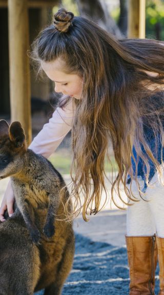 Billabong Zoo - Koala and Wildlife Park - Port Macquarie