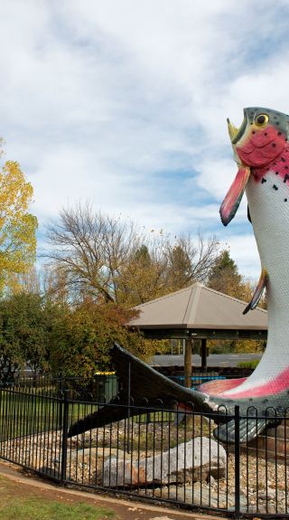 The 10-metre high Big Trout fibreglass structure in Adaminaby...Artist: Andy Lomnici, 1973