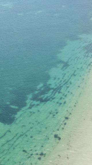 Couple enjoying a stand up paddleboarding experience in Shoal Bay, Port Stephens