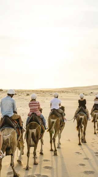 Sunset camel riding experience with in Anna Bay, Port Stephens
